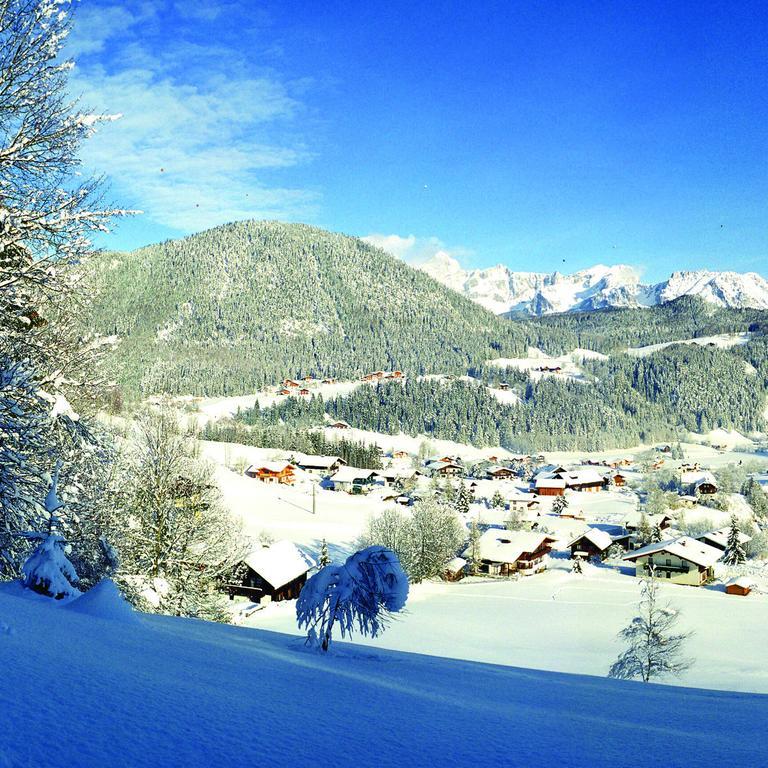 Appartements Basti Forstau  Bagian luar foto